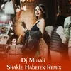 About Shakle Habetek Song