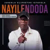 About Nayilendoda Song