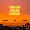 About Thugs Calm Down Song