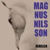 About Rebellen Song