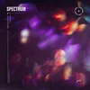 About Spectrum Song