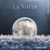 Concerto for Violin and Strings in G Minor, RV 104 "La notte": II. Fantasmi: Presto - Largo - Andante