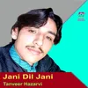 About Jani Dil Jani Song