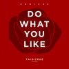 Do What You Like