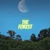 The Forest