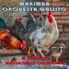 Cumbia del Gallito