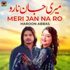 About Meri Jan Na Ro Song