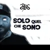 About SOLO QUEL CHE SONO Song