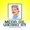 Meda Dil Vikhao Ay