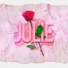 About Julie Song