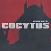 COCYTUS