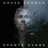 About Svarte svane Song