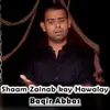 Shaam Zainab kay Hawalay