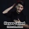 About Hayee Sajjad Song