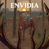 About ENVIDIA Song