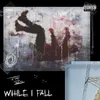 About While I Fall Song