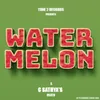 About Water Melon Song