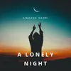 About A Lonely Night Song