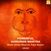 About Powerful Hanuman Mantra - Mano Javam Maaruta Tulya Vegam Song