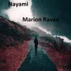 About Nayami Song