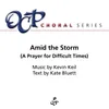 About Amid the Storm Song