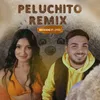 About Peluchito Song