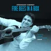 About Fire Bees In A Box Song