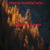 Horse Martial Arts