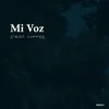 About Mi Voz Song