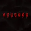 About Revenge Song