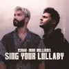 About Sing Your Lullaby Song