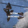 About Testan Buscvndo Song