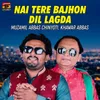 About Nai Tere Bajhon Dil Lagda Song