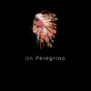 About Un Peregrino Song