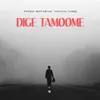 About Dige Tamoome Song