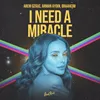 About I Need a Miracle Song