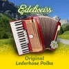 About Lederhose Polka Song