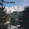 About Tree Love Song