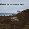 About Waiting for You to Come Back Song