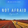 About Not Afraid (10 Years On...) Song