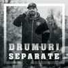 Drumuri separate