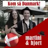 About Kom så Danmark! Song