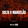 About Solta o Mandelão Song