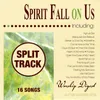 Spirit Fall on Us Split Track