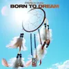 About Born to Dream Song
