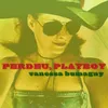 About Perdeu, Playboy Song