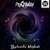 About Psychedelic Whiplash Song