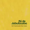 Roda de Samba