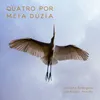 About Quatro por Meia Dúzia Song
