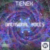 About Dimensional Voices Song
